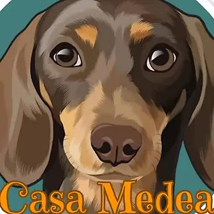 Casa Medea Appartamento Piombino